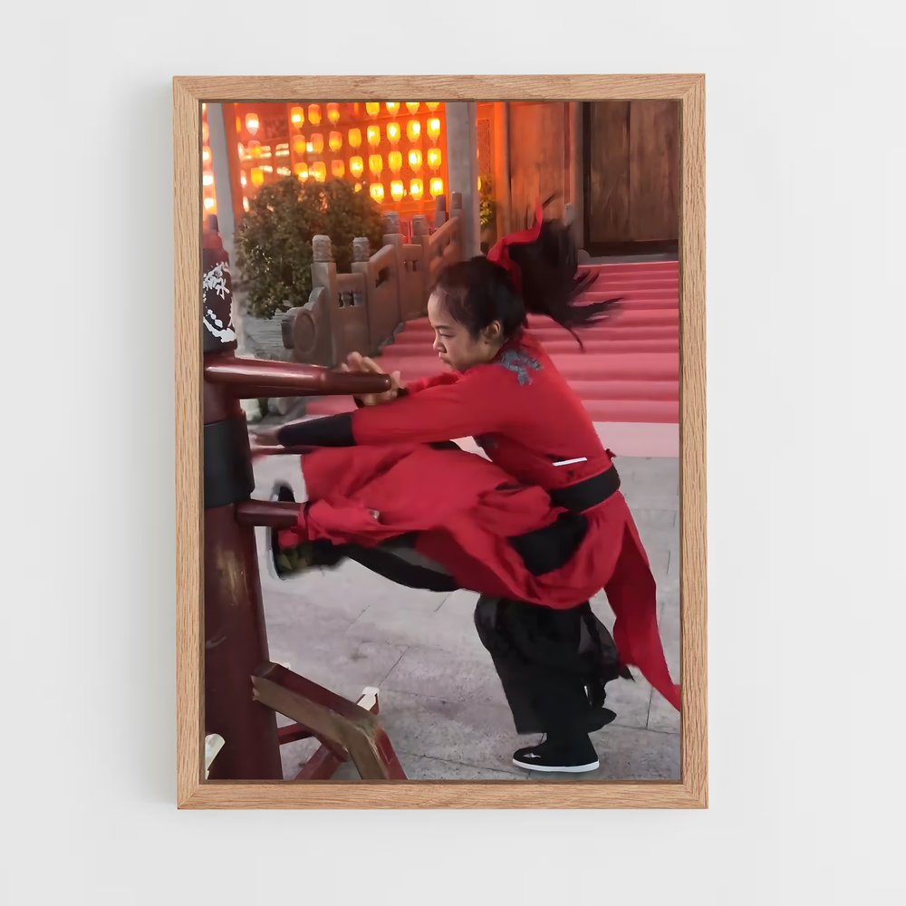 Poster Wing chun (vue 4)